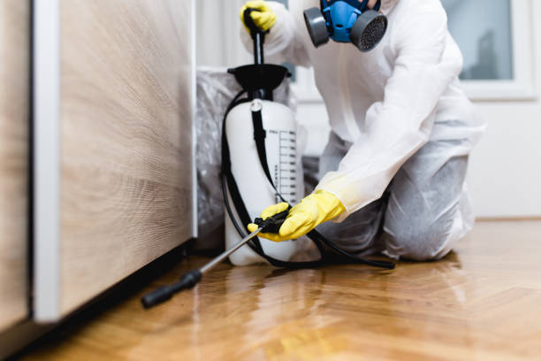 Best Pest Inspection Near Me  in Euclid, OH