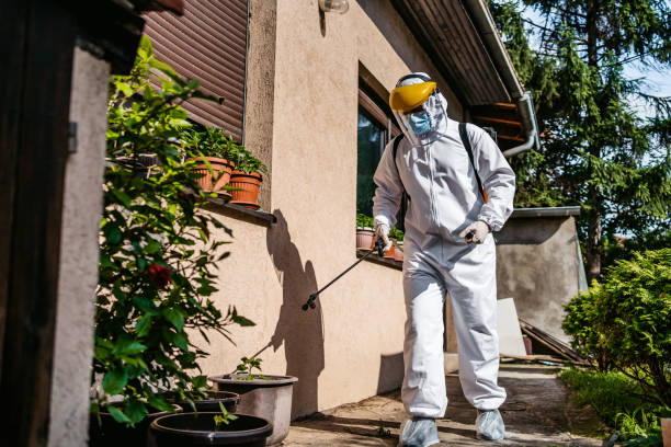 Best Residential Pest Control  in Euclid, OH